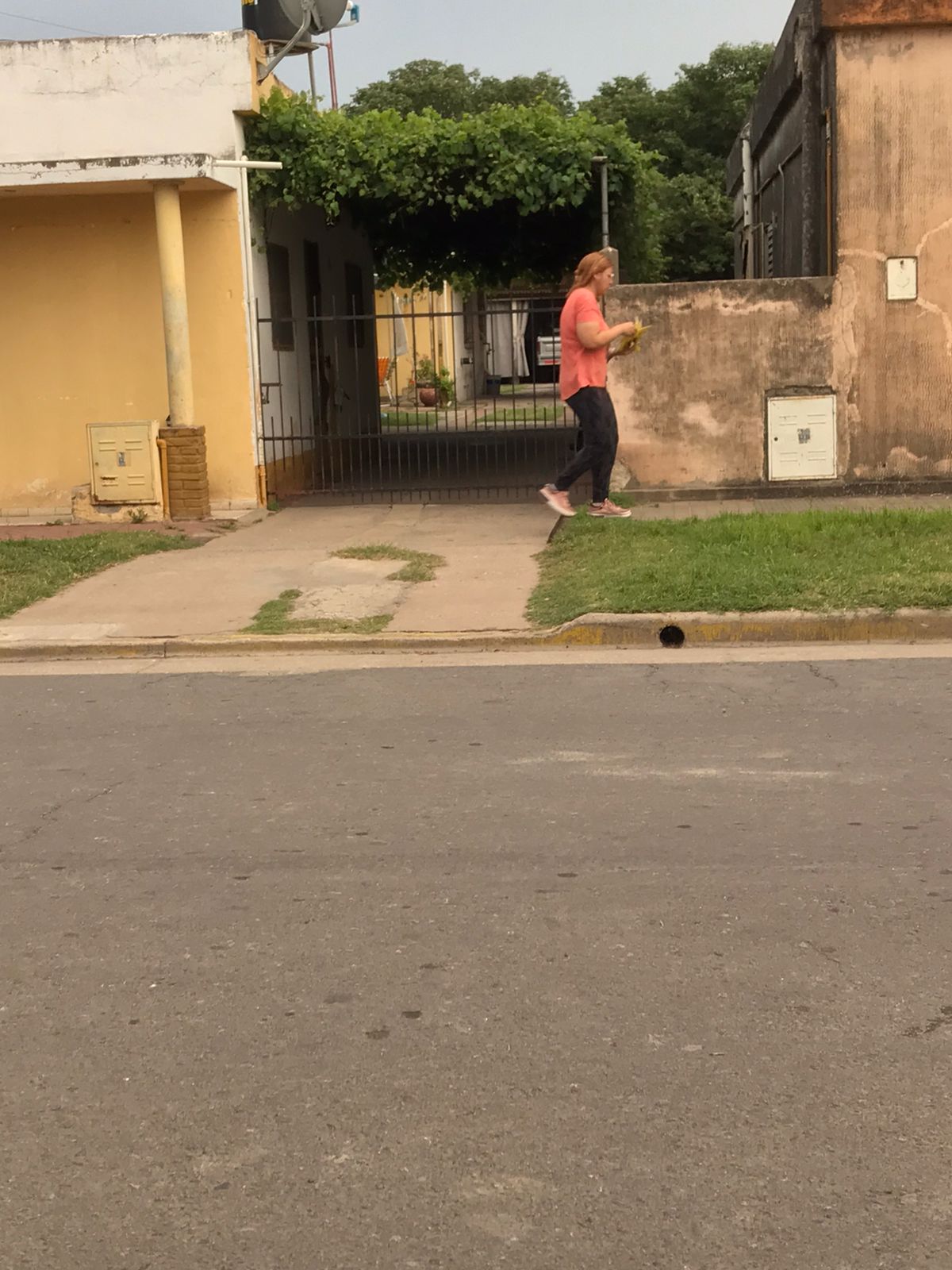 Repudiable: Fito Gonzalez viola la veda repartiendo volantes. – Puerto Timbúes