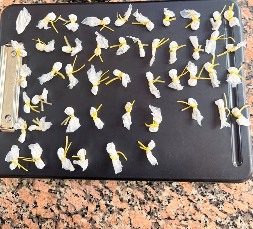 Narcomenudeo en Rosario: secuestraron 48 envoltorios con presunta droga y aprehendieron a un hombre